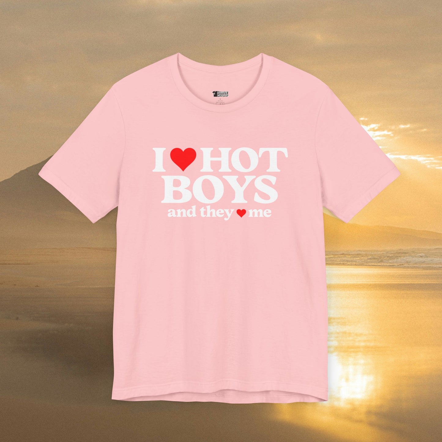 Playful I Love Hot Boys And They Love Me T-Shirt