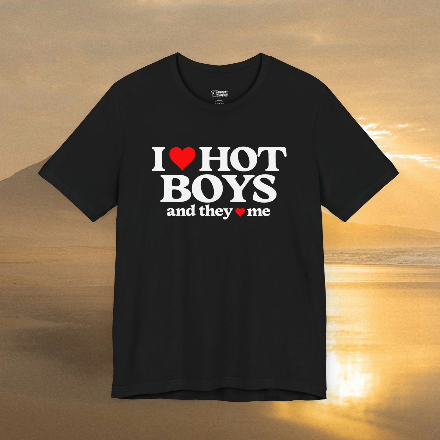 Playful I Love Hot Boys And They Love Me T-Shirt