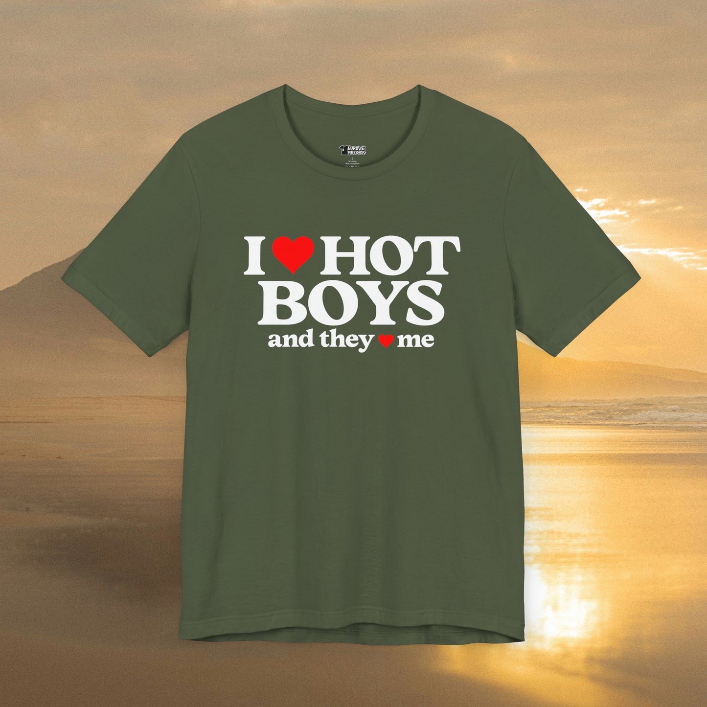 Playful I Love Hot Boys And They Love Me T-Shirt