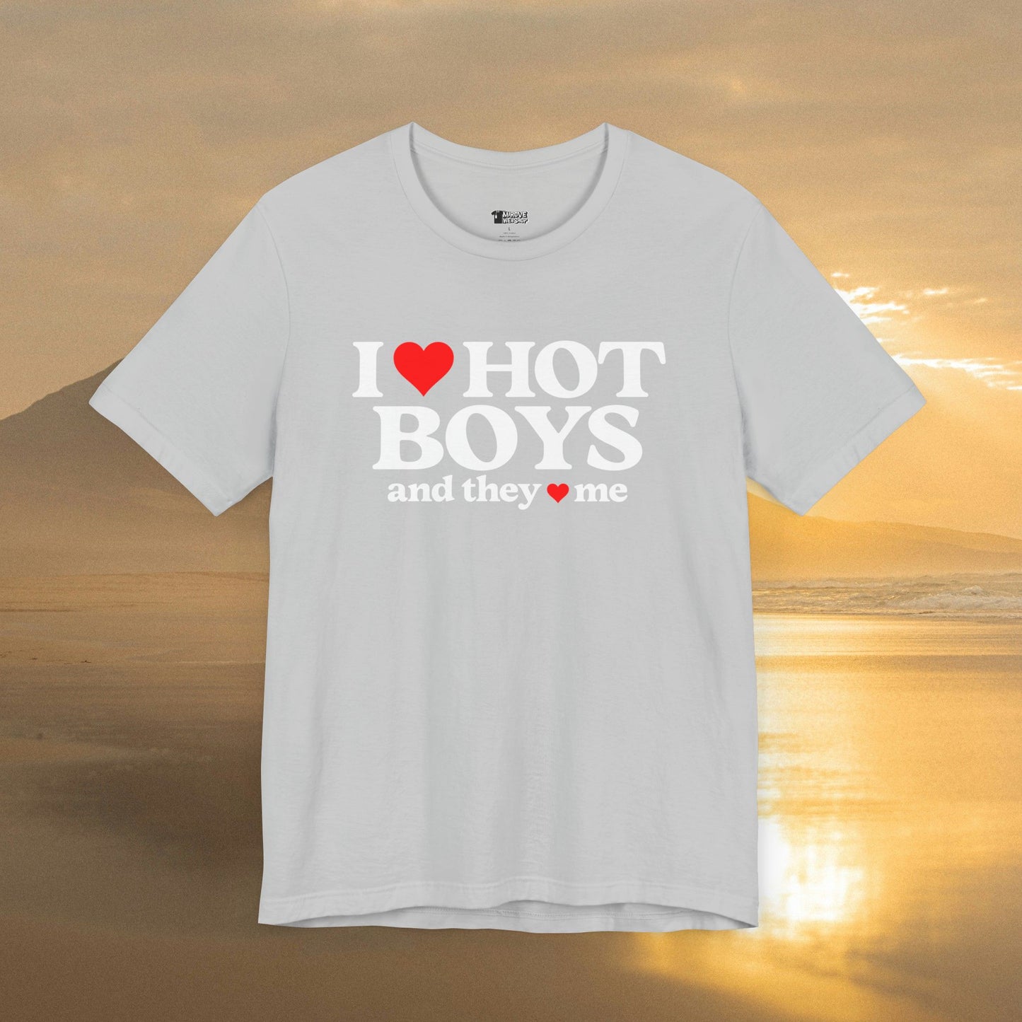 Playful I Love Hot Boys And They Love Me T-Shirt