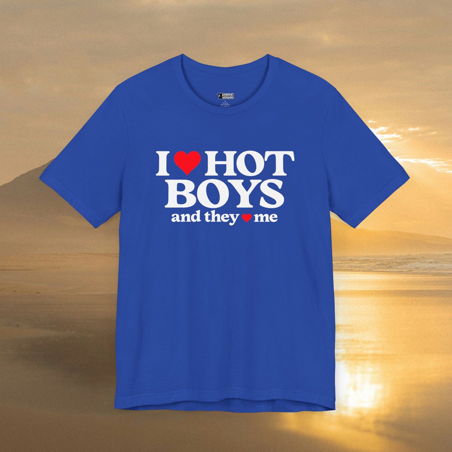 Playful I Love Hot Boys And They Love Me T-Shirt