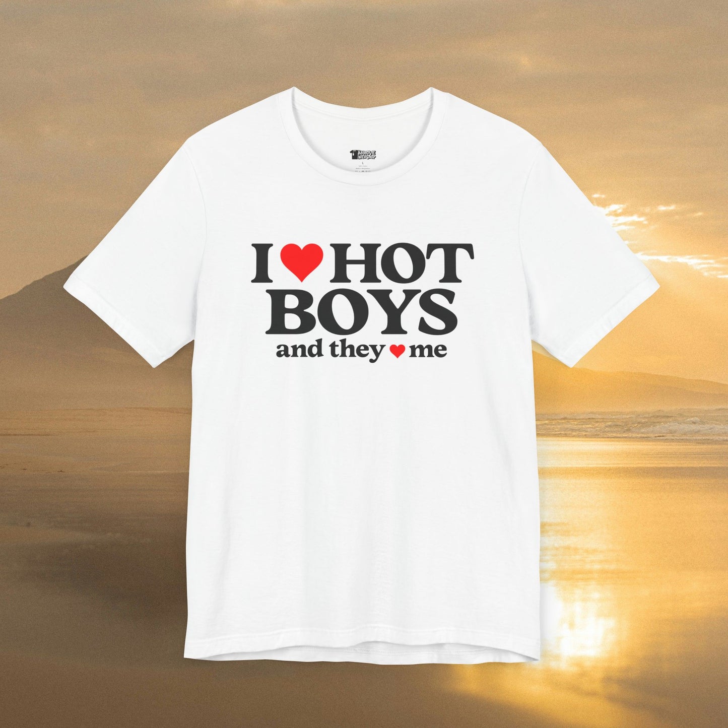 Playful I Love Hot Boys And They Love Me T-Shirt